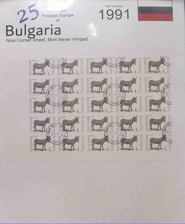 Bulgaria 25