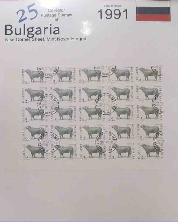 Bulgaria 25